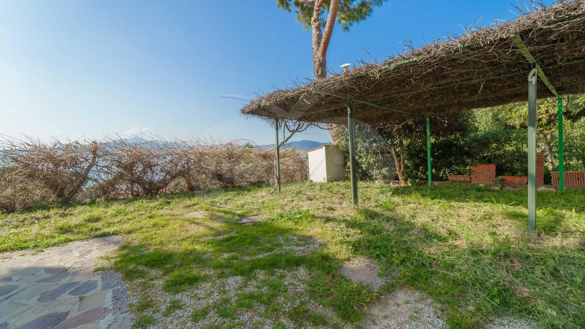 Appartamenti Nereidi - Goelba Capoliveri  Apartment